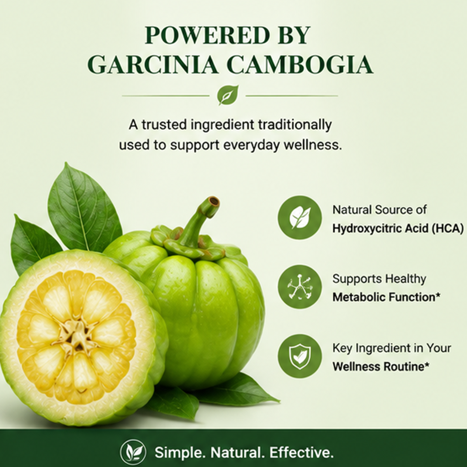 LULUMERA Garcinia Cambogia Supplement – Premium Garcinia Extract Capsules for Daily Wellness Support, Healthy Metabolism & Lifestyle Balance, 60 Capsules - Image 2